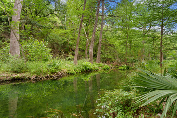 Obraz premium hill country river in texas