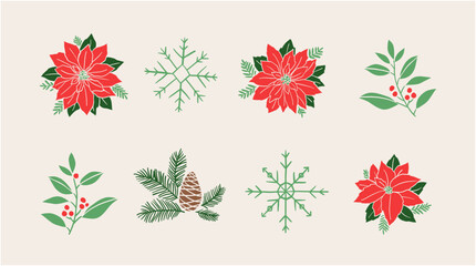 Fototapeta na wymiar Holiday season winter flowers botanical vector illustration, Hand-drawn style.
