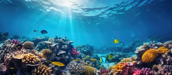 Fototapeta na wymiar Vivid scenic underwater scenery with coral reef corals and air bubbles With copyspace for text