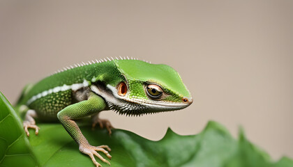 Obraz premium Close-up image of Oriental garden lizard standing on green leaf