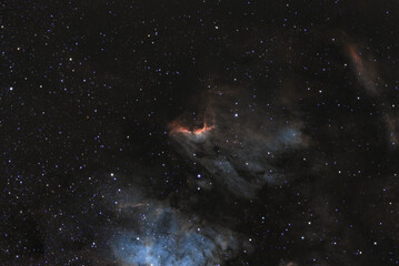 Fototapeta na wymiar nebulapelican