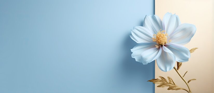 Fototapeta Simple blue flower illustration with a golden outline on a isolated pastel background Copy space for decor