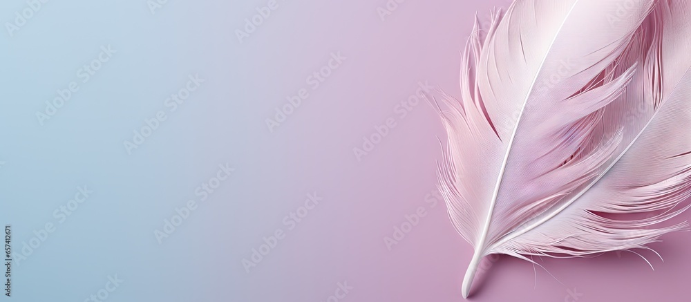 Aufkleber copy space image on isolated background with a feather of a bird