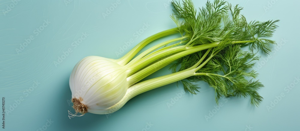 Poster copy space image on isolated background with fennel