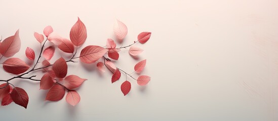 Red leaves imprinted on isolated pastel background Copy space