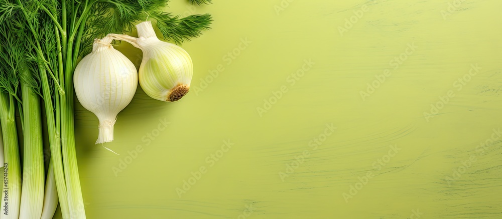 Poster copy space image on isolated background with fennel