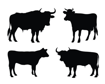 Cow Silhouette. Cow Vector Illustration. Cow Artwork.