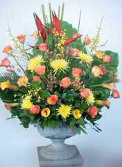 Flowers and Arrangements 