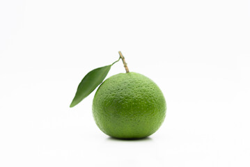 One green orange on a white background