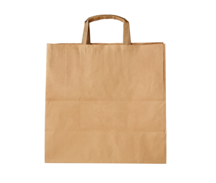 Blank brown paper bag isolated on white background