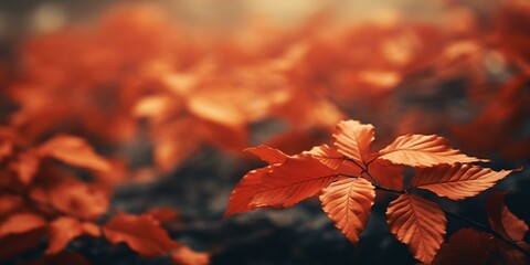 autumn fall leaves background cinematic