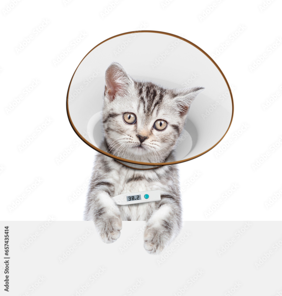 Poster cute tabby kitten with thermometer and protective cone collar looking above empty white banner. isol