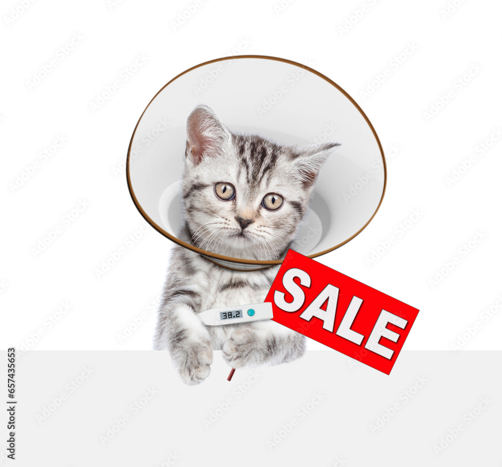 Poster cute tabby kitten wearing protective cone collar looking above empty white banner and holds thermome