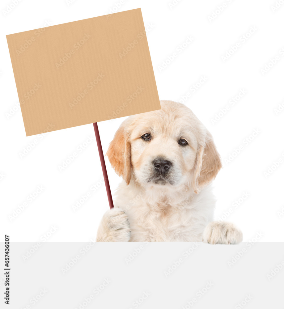 Poster cute golden retriever puppy shows empty placard above empty white banner. isolated on white backgrou