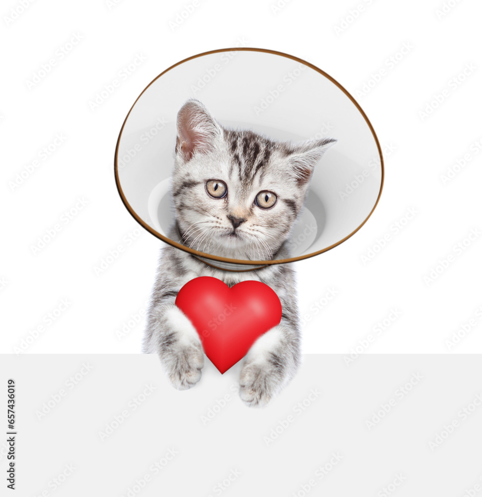 Poster cute tabby kitten wearing protective cone collar holds red heart above empty white banner. isolated 