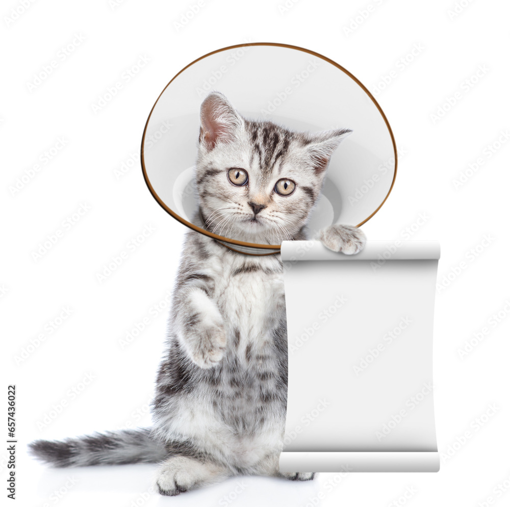 Poster Cute tabby kitten wearing protective cone collar looking at camera and shows empty list. Isolated on white background