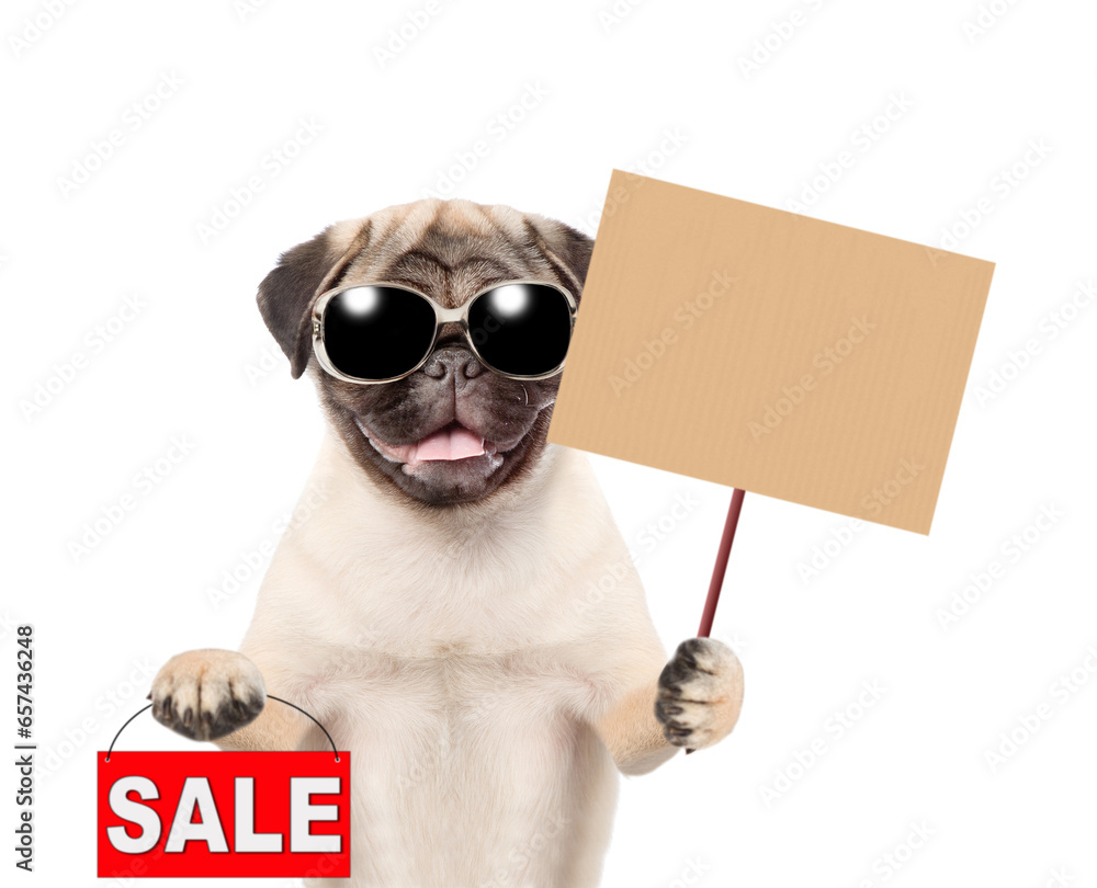 Poster pug puppy wearing sunglasses showing signboard with labeled 