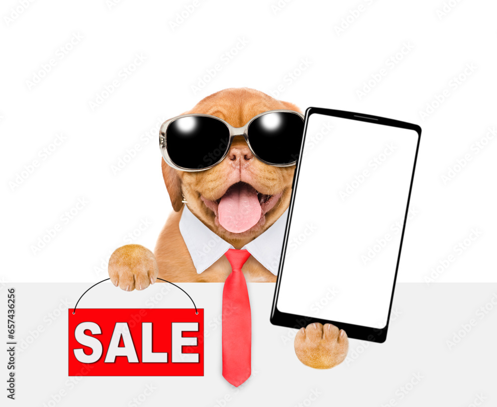 Poster smart mastiff puppy wearing sunglasses and necktie shows signboard with labeled 