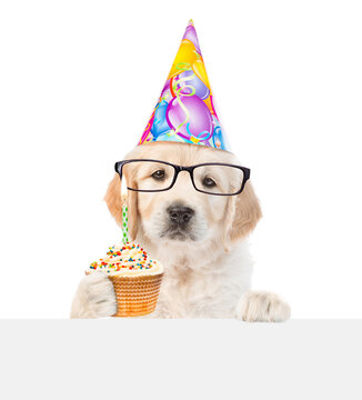 Smart Golden retriever puppy wearing funny eyeglasses and party cap looks above empty white banner and shows cupcake with burning candle. isolated on white background