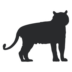 silhouette tiger vector
