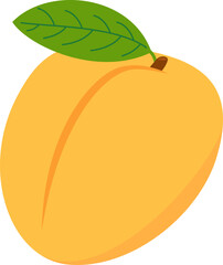 Apricot Illustration