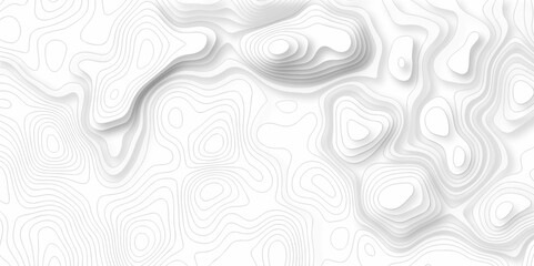 Background lines Topographic map. Geographic mountain relief. Abstract lines background. Contour maps. Vector illustration, Topo contour map on white background, Topographic contour lines.