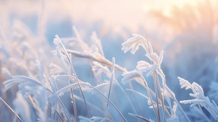 Fotobehang Beautiful background image of frost on nature grass close up. Frozen winter landscape with snow covered branches and ice blue background © Matthew