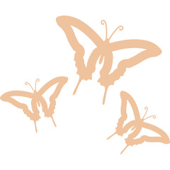 Butterfly Minimalist Boho