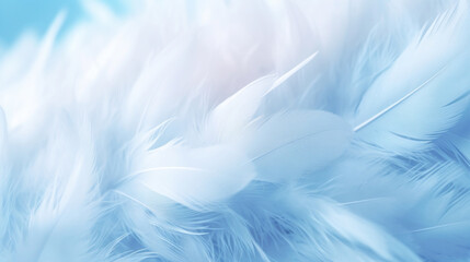 Fototapeta na wymiar An abstract background with a close-up of soft blue feathers