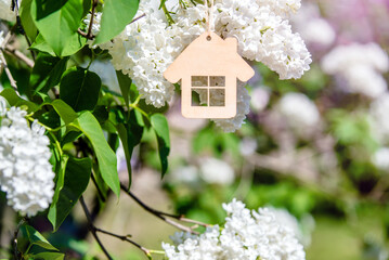 The symbol of the house among the branches of the white lilac
