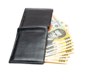 wallet with romanian curency on white background