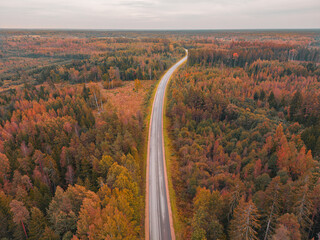 Highway between autumn forest from aerial view. Fall background