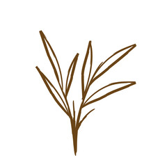 Aesthetic Leave Lineart 