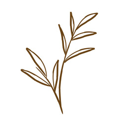 Aesthetic Leave Lineart 