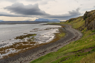 Hvitserkur, Basalt Stack in Northwest Iceland