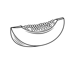 illustration of a slice of melon