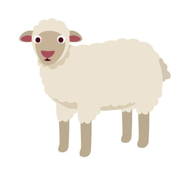 Farm Animals Illustration Set - Sheep