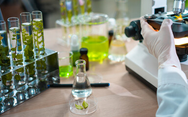 Scientist female researching with plant biotechnology concept with in laboratory.
