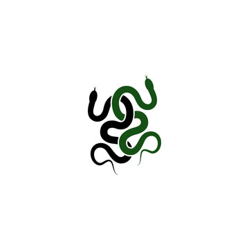 Snakes icon isolated on transparent background