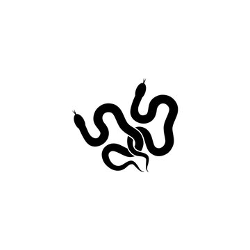 Snakes icon isolated on transparent background
