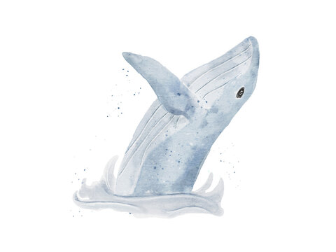 Blue whale drawing in watercolor isolated on transparency background