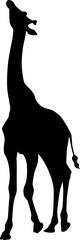 Giraffe  silhouette
