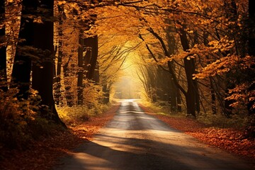 Autumn road in forest with trees. Generative AI