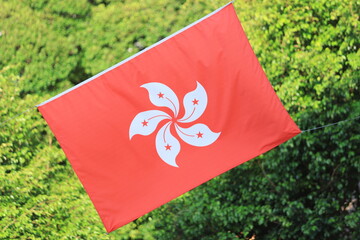 hong kong flag set up in the event for celebrating the National Day of the People's Republic of...