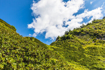 Summer mountain landscape at Krasnaya Polyana mountain resort, Sochi, Russia