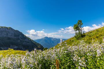 Summer mountain landscape at Krasnaya Polyana mountain resort, Sochi, Russia