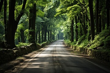 Obraz premium Forest narrow street road, Adventure road through the green forest nature, Aerial top view forest, Texture of forest view from above, Ecosystem and healthy environment concepts and background