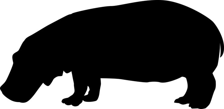 recommend clip art: hippo silhouette
                    