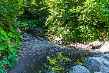 Summer mountain landscape at Krasnaya Polyana mountain resort, Sochi, Russia