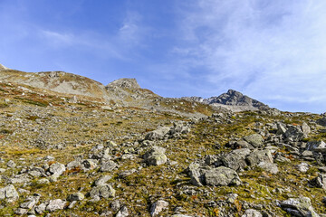 Fototapeta premium Flüela, Flüelapass, Alpen, Passhöhe, Passstrasse, Bergstrasse, Steinschlag, Felsen, Wanderweg, Graubünden, Herbst, Herbstfarben, Davos, Susch, Schweiz